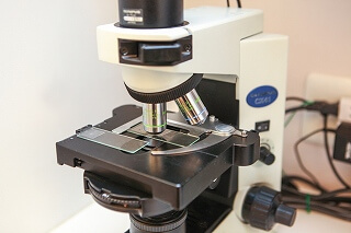 位相差顕微鏡による細菌検査(歯周病、虫歯菌検査)の画像