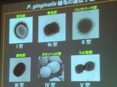 CIMG3103